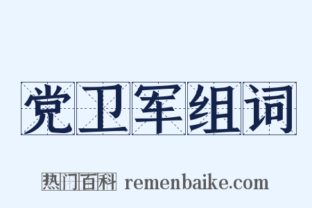 党卫军组词是什么意思的图片